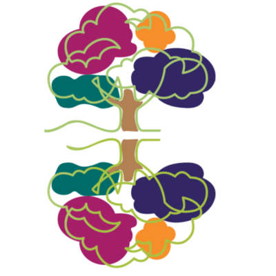 Supevision with Jen Smith